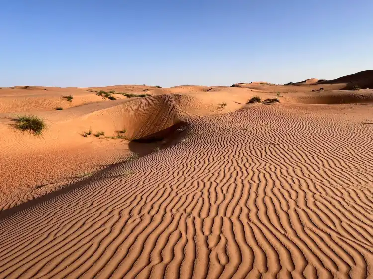 Hotel di Wahiba Sands
