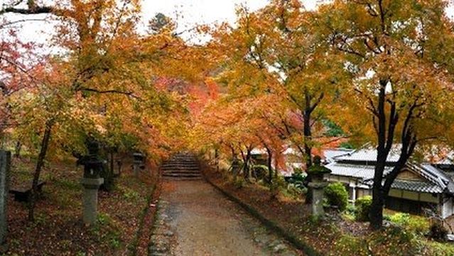 Akizuki Castle Ruins