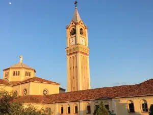 Shrine Parish of St. Francis of Chagas