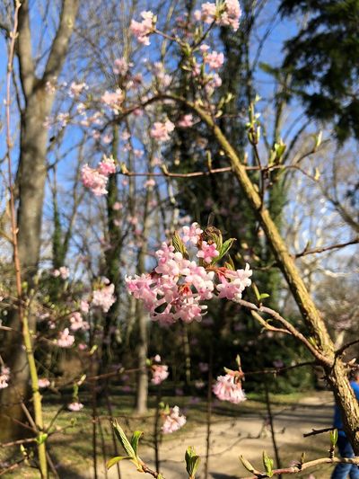 Alcsúti Arboretum Nature Reserves