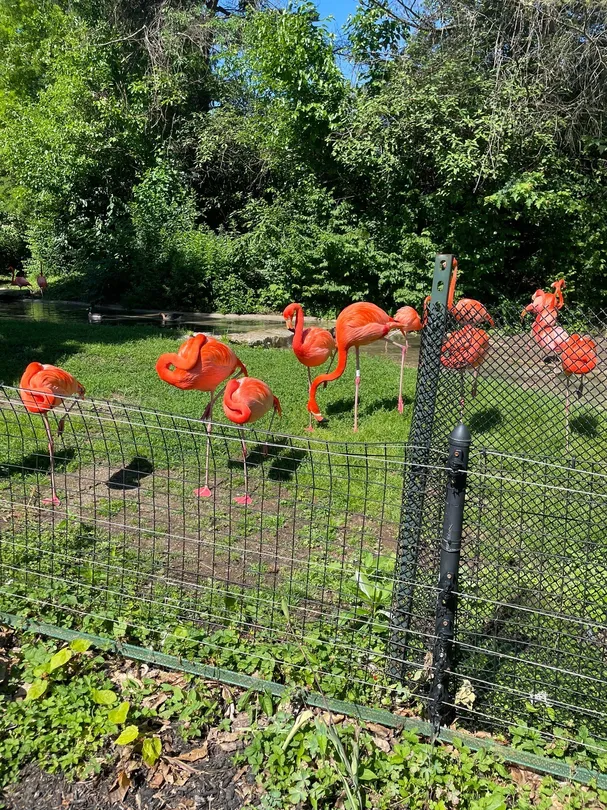 3_Columbus Zoo and Aquarium