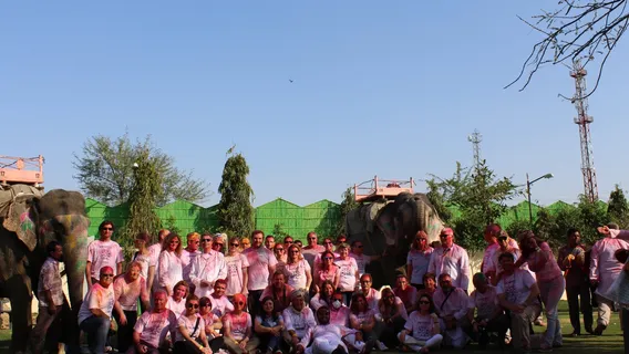 EleJungle – Elephant Ride & Activities in Amer Fort Jaipur