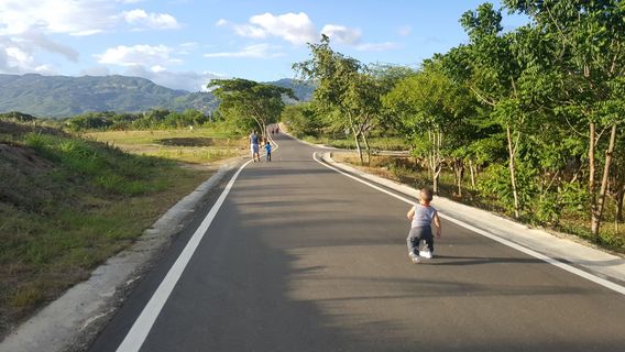 Jardin Botanico de Santiago