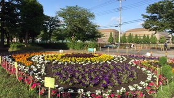 Todoroki Ryokuchi Kawasaki