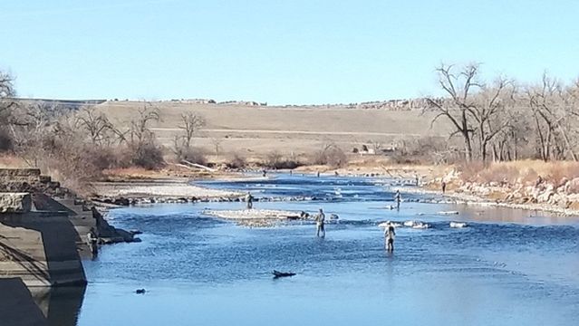 Lake Pueblo State Park