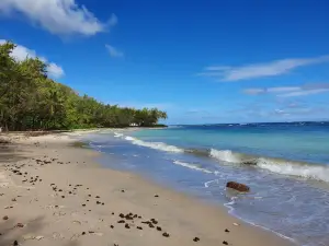 Bath Beach