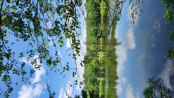 Tishomingo State Park