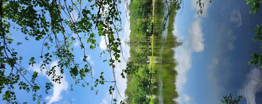 Tishomingo County