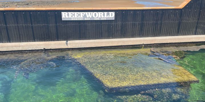 Reef World Aquarium