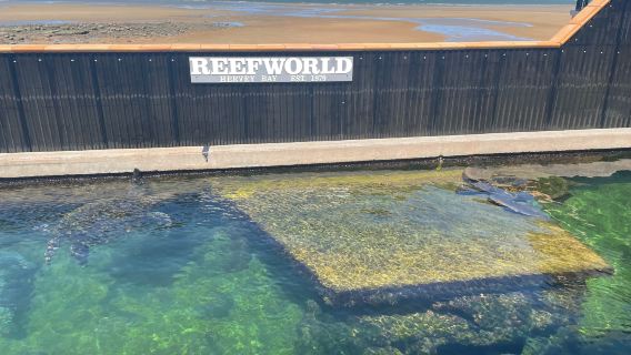 Reef World Aquarium