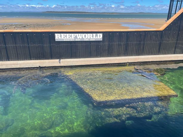 Reef World Aquarium