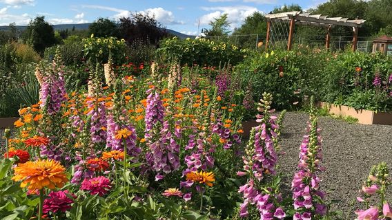 Georgeson Botanical Garden