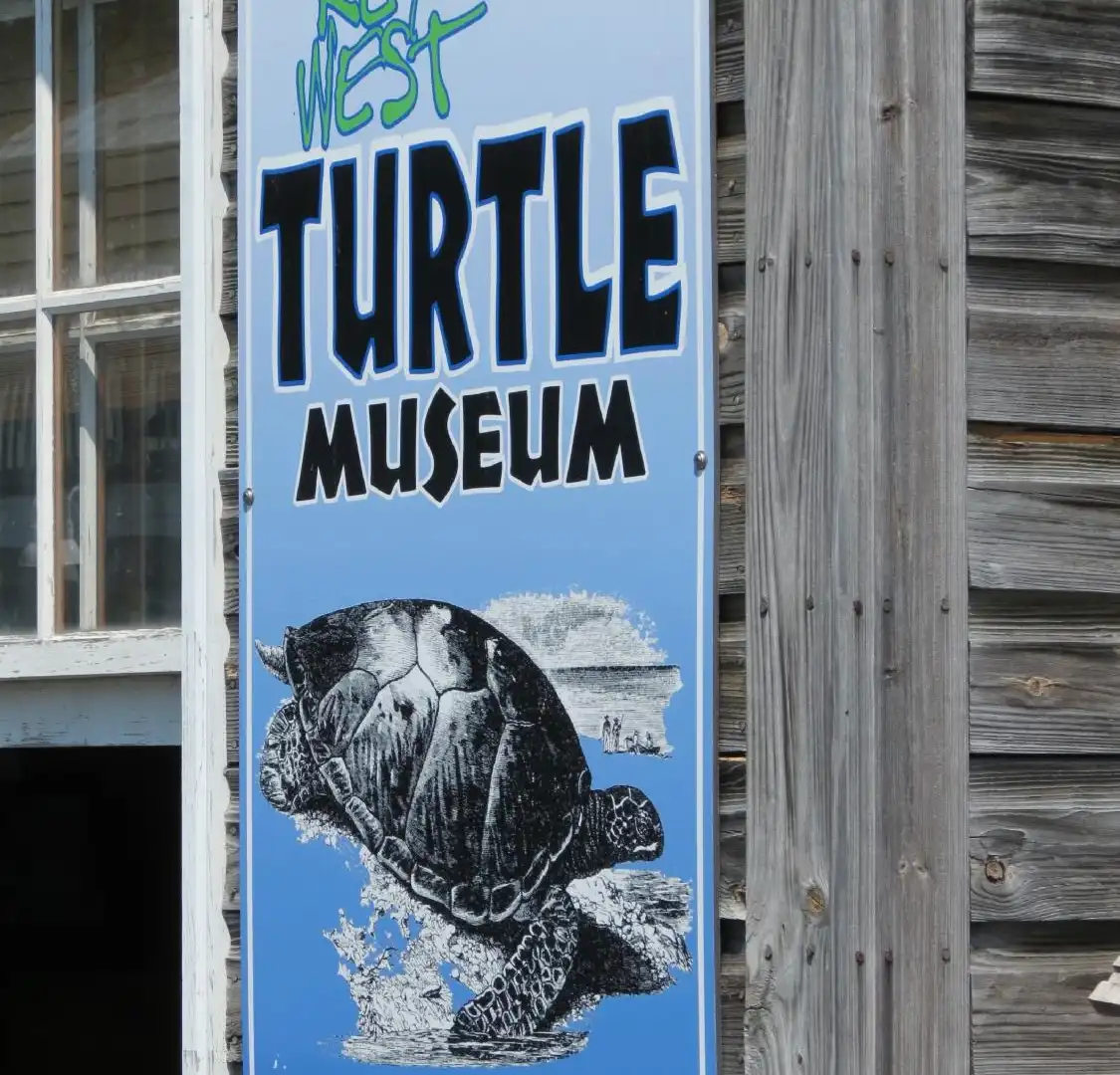 Hotels near Turtle Cannery Museum