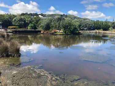 Aotea Lagoon