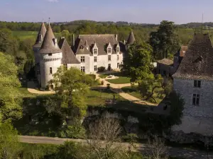 Castle de Bridoire