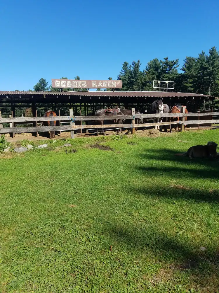 Hotels in Westford