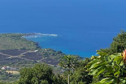 Sacred Grounds Coffee Farm