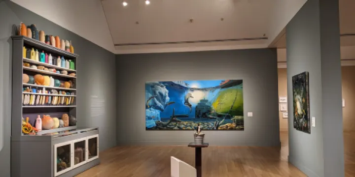 維珍尼亞當代美術館