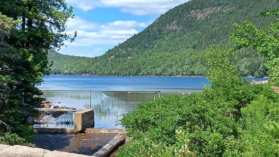 Bar Harbor