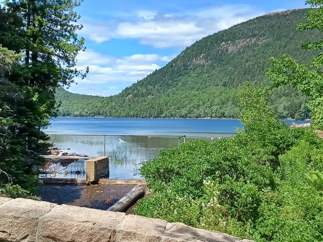Hotels near Acadia National Park Island Explorer Bus