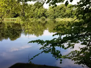 Stanton Country Park