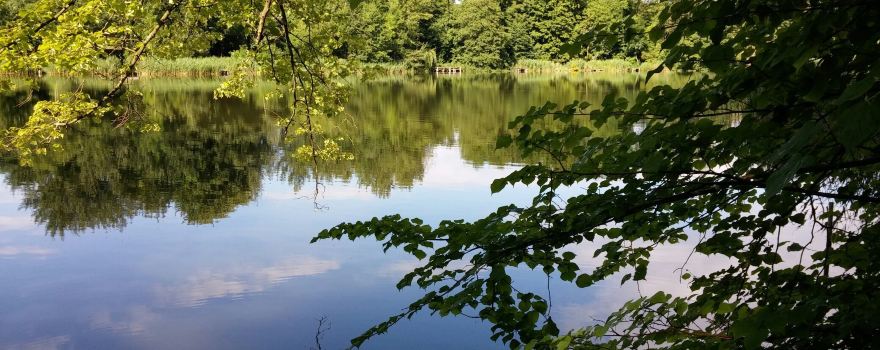 Stanton Country Park
