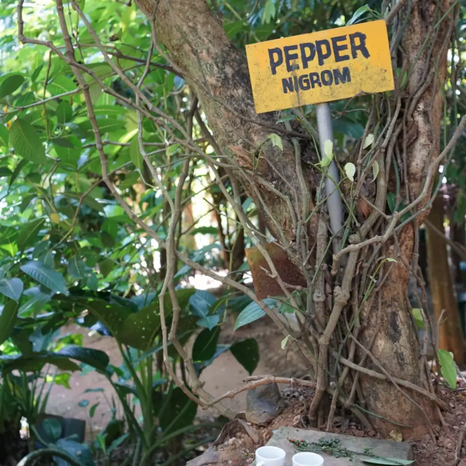 4_Susantha Spice & Herbal Garden