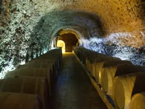 Bodega El Fabulista