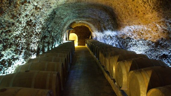 Bodega El Fabulista