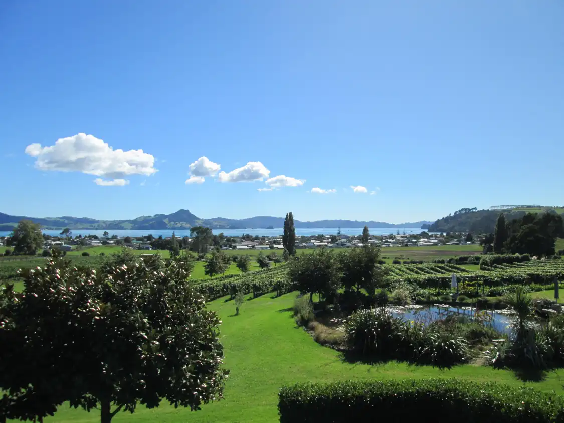 Hotels near Mercury Bay Estate - Winery & Restaurant