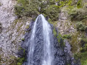 Mont Dore Aventures