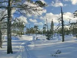 Femundsmarka National Park