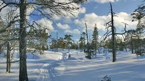 Femundsmarka National Park