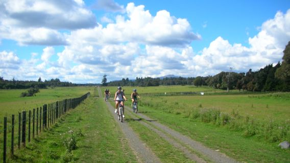 Ohakune Old Coach Road