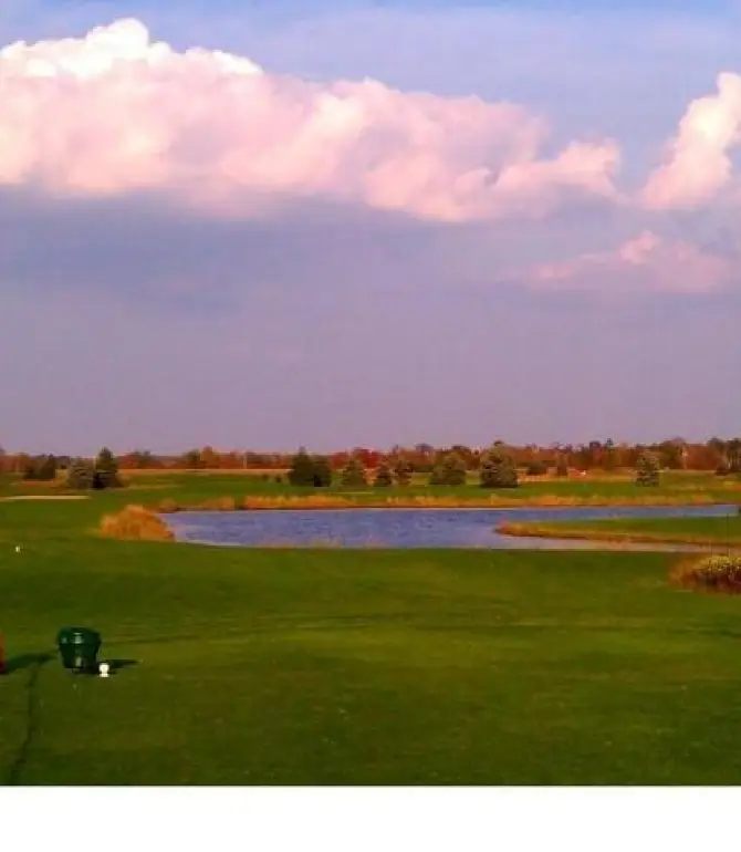 Robinson Township