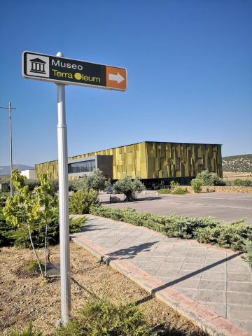 Mengibar