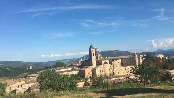 Urbino
