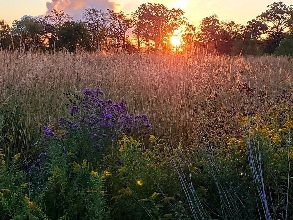 Four Rivers Environmental Education Center