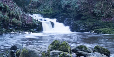 Crumlin Glen