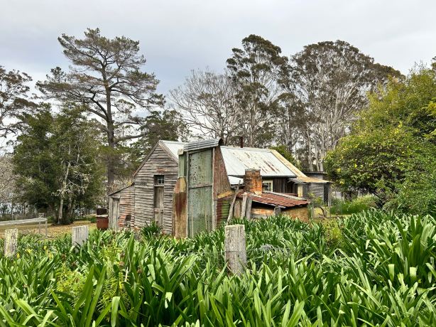 Davidson Whaling Station