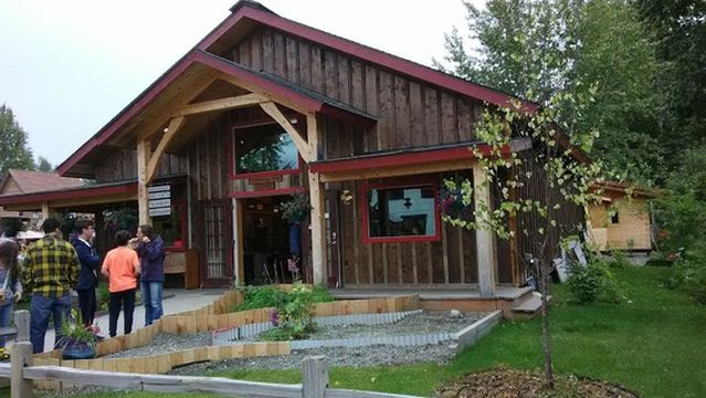 Dancing Leaf Gallery