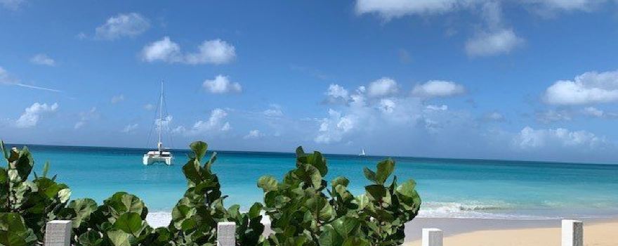 Rum Bus Beach