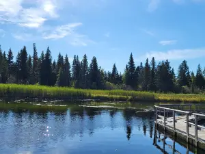 Ominnik Marsh Trail