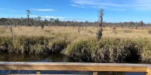 J F Gregory City Park