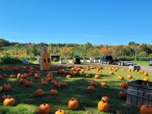 Woodstock Orchards and Bakery Barn