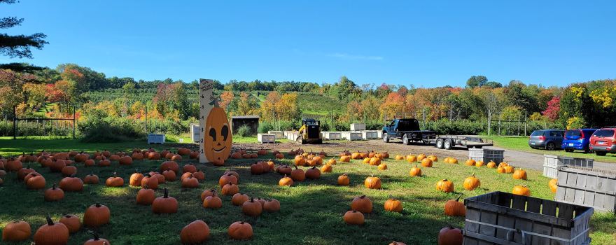 Woodstock Orchards and Bakery Barn