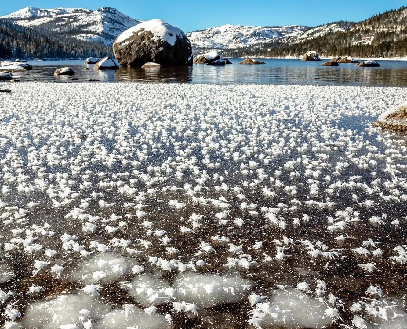 Hotels near Donner Lake