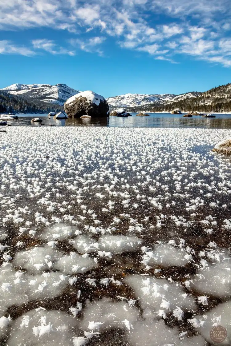 Các khách sạn ở Truckee