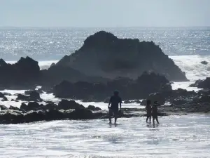 Playa Los Cangrejos