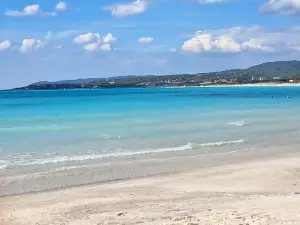 Spiagge bianche